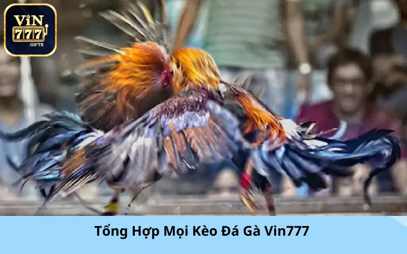 Ưu Điểm Nổi Bật của đá gà Vin777 là gì?