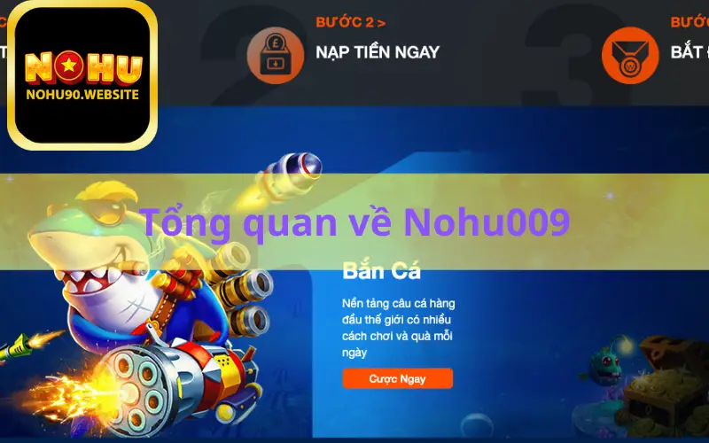 Tổng quan về Nohu009